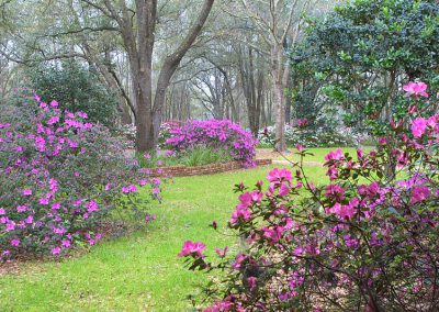 Woods with a grassy path with flowery plants and bush along the sides.