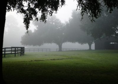 Foggy farmland with cut grass, trees and divided by a ranch style fence.