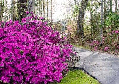 A paved path with trees and flowers and Country Road Farm's metal gate in the background.