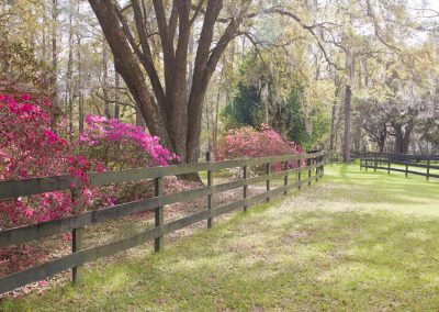 A grassy path bordered with ranch style fencing and flowering bushes.